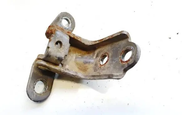 Rear door lower hinge