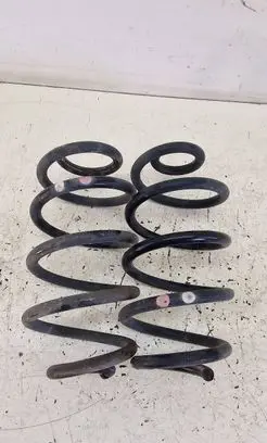 Rear coil spring