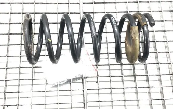 Rear coil spring