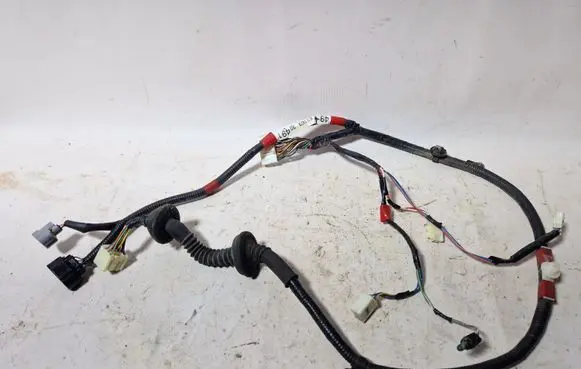 Rear door wiring loom