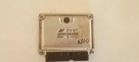 Volkswagen Sharan Engine control unit/module 038906019NA 0281011822