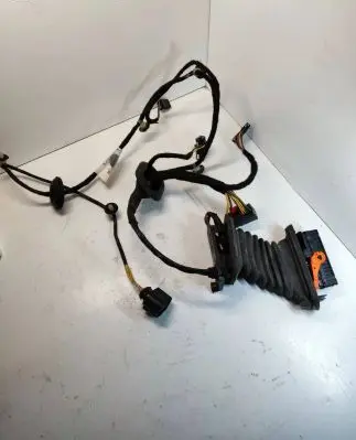Volkswagen PASSAT B7 Rear door wiring loom 3AA971694CB