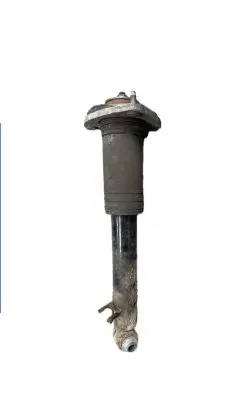 BMW X5 E70 Rear shock absorber/damper 6782875