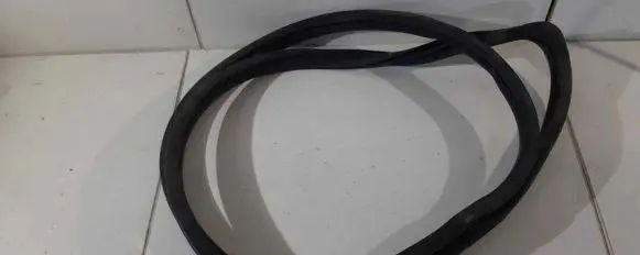 Renault Zoe Rubber seal rear door 
