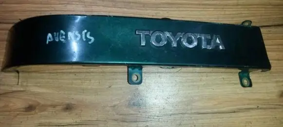 Rear/tail light trim molding