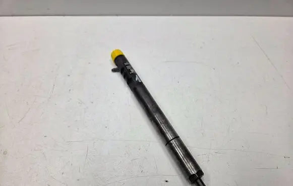 SsangYong Rodius Fuel injector A6650170121