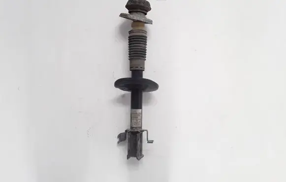 Dacia Dokker Front shock absorber/damper 543028938R