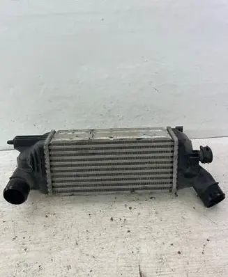 Peugeot 407 Intercooler radiator 9645682880 874823NK