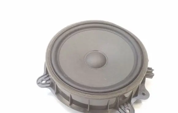 Tesla Model 3 Front door speaker 107974400E