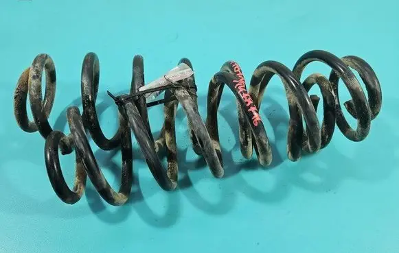 Rear coil spring