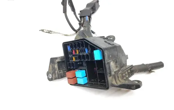 Toyota RAV 4 (XA50) Fuse module PPTD20