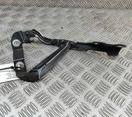 Volkswagen New Beetle Engine bonnet/hood hinges 1C0823301G