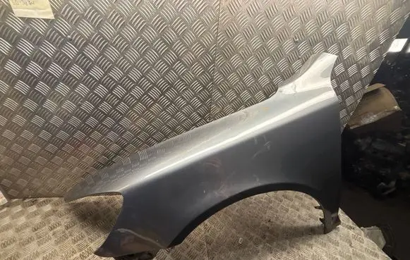 Skoda Octavia Mk2 (1Z) Fender 