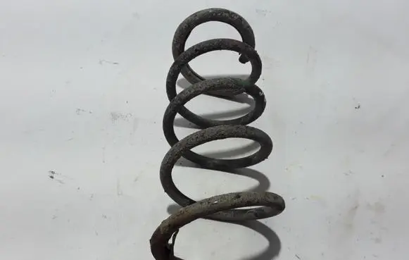 Dacia Lodgy Front coil spring 540101362R
