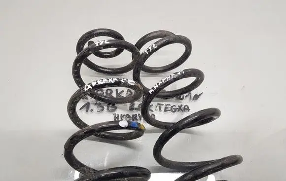 Renault Arkana Rear coil spring