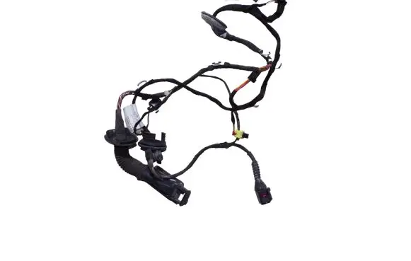 Front door wiring loom