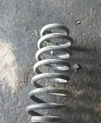 Rear coil spring
