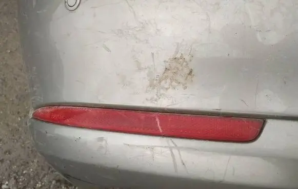 Skoda Octavia Mk2 (1Z) Rear tail light reflector 