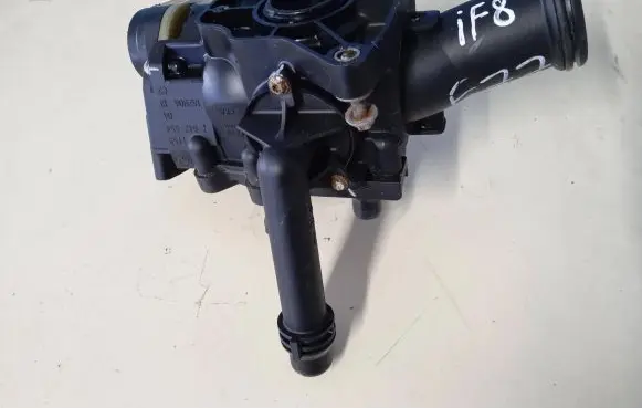 Thermostat/thermostat housing