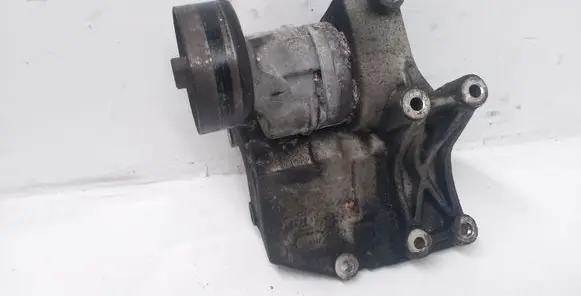 KIA Sorento Alternator belt tensioner 252814A000