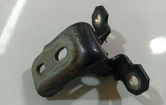 Rear door lower hinge