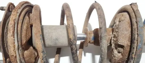 Front coil spring