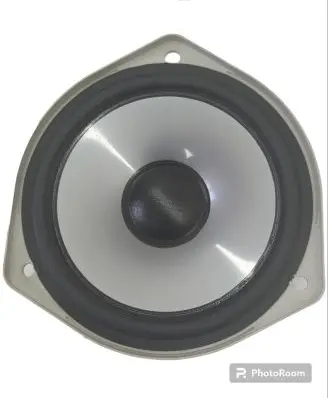 Rear door speaker