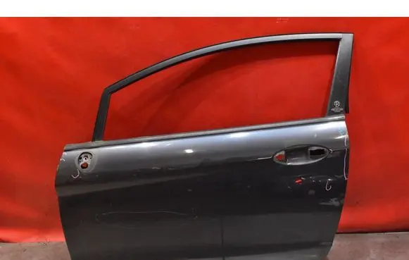 Ford Fiesta Front door