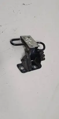 Volkswagen Touareg I Front door lower hinge 