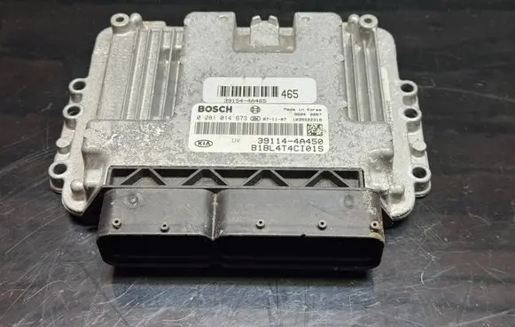 KIA Sorento Engine control unit/module 391544A465 391144A450 0281014673
