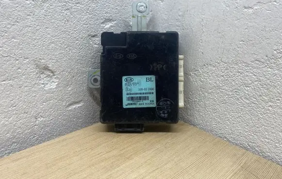 KIA Sorento Door central lock control unit/module 10R021806 954003E310 S429300254