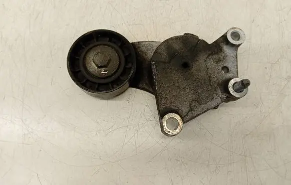 Citroen C3 Generator/alternator belt tensioner