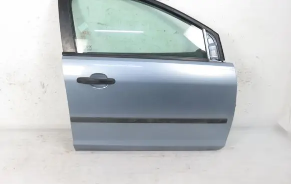 Ford Focus Front door 