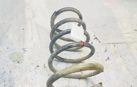 Nissan X-Trail T30 Rear coil spring