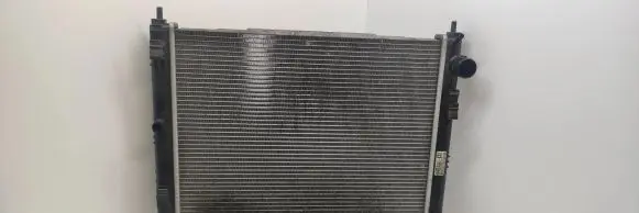 Nissan Juke I F15 Coolant radiator 21410BA62A