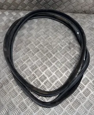 BMW 3 GT F34 Front door rubber seal 7323081