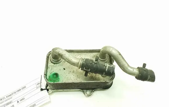 Oil filter mounting bracket