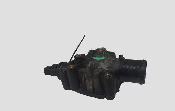 Peugeot 307 Thermostat/thermostat housing TH697291 L1720