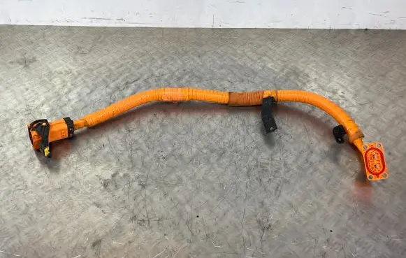 KIA EV6 Other wiring loom