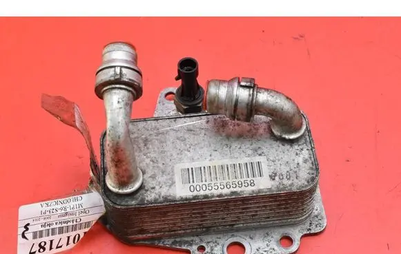 Opel Insignia A Engine oil radiator 00055565958