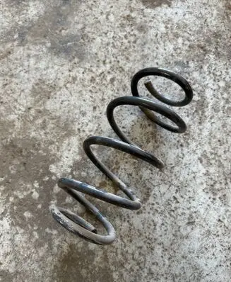 Rear coil spring
