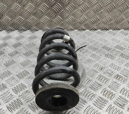 Skoda Enyaq iV Rear coil spring 1EA511103H