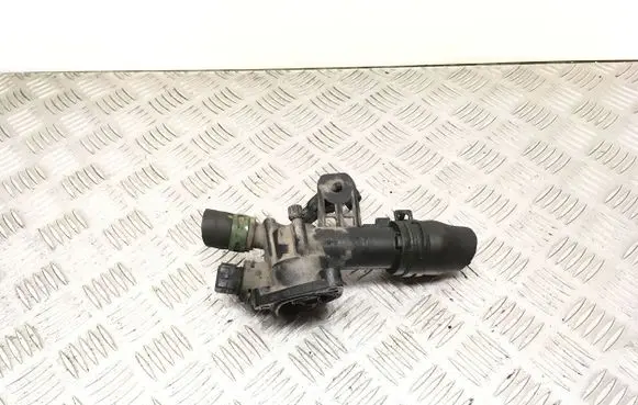 Thermostat/thermostat housing