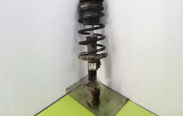 Opel Meriva A Front shock absorber with coil spring 22194807