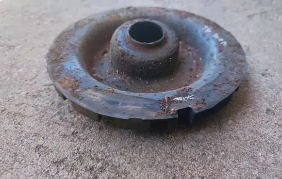 Coil spring mount