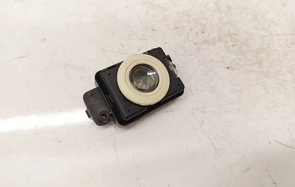 Tesla Model S Other interior light 100254300C