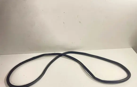 BMW X7 G07 Rubber seal rear door 7431142 9465544