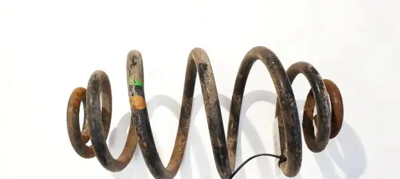 Rear coil spring
