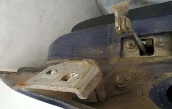 Dacia Sandero Rear door lower hinge