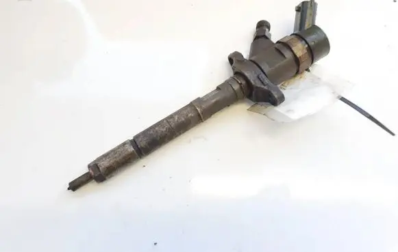 Peugeot 5008 Fuel injector 0445110259